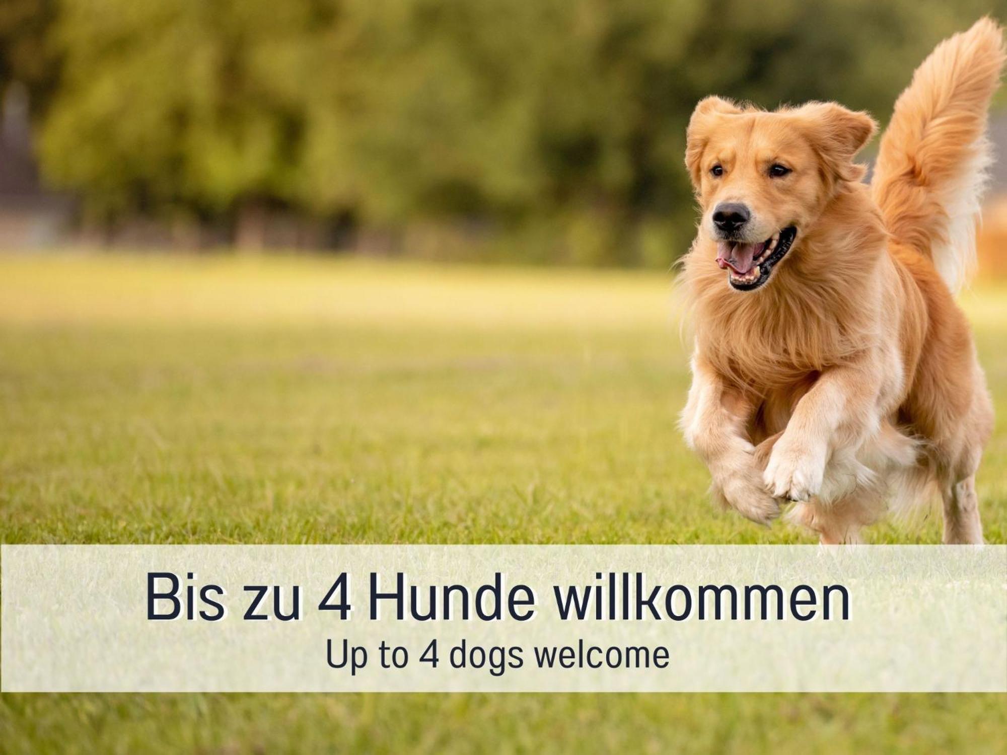 Traum Ferienhaus Burghalde Alpirsbach Ngoại thất bức ảnh